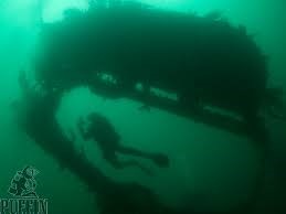 Diver next to the hull of a large shipwreck in murky green water