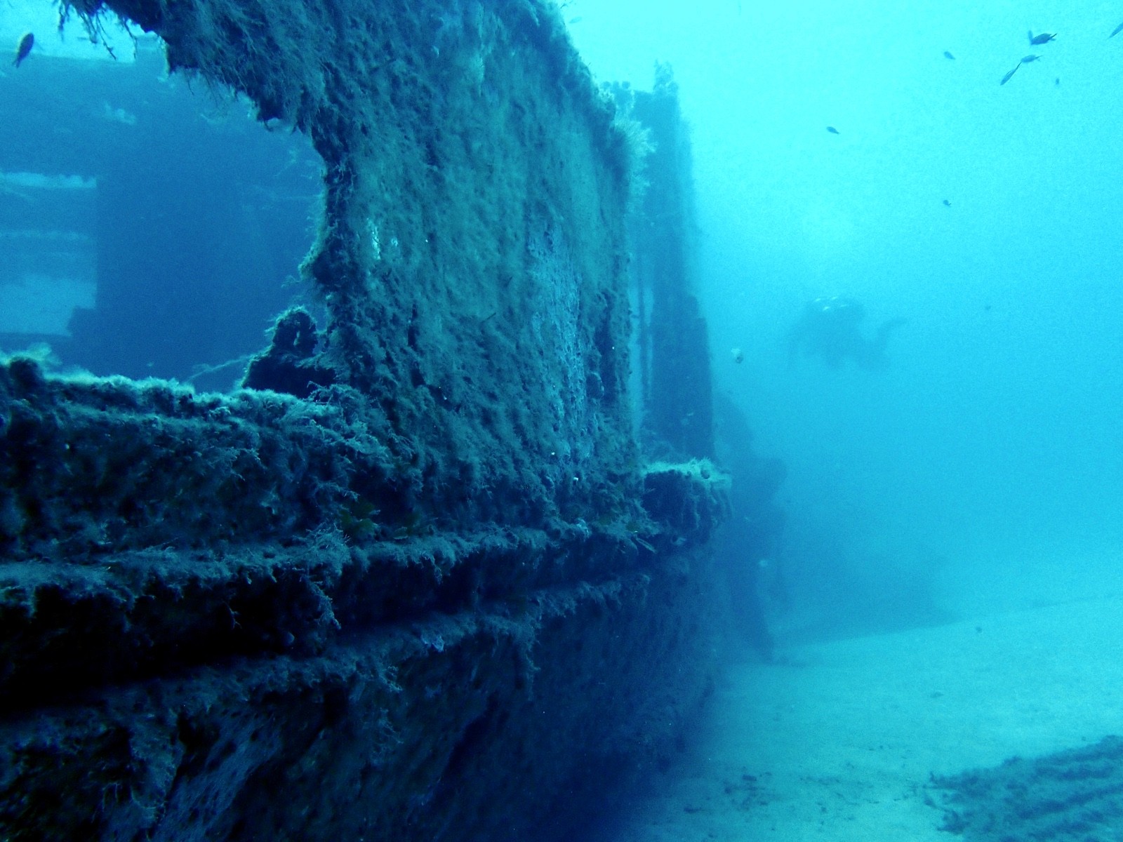 Diver silhouette behind the encrusted superstructure of a large wreck