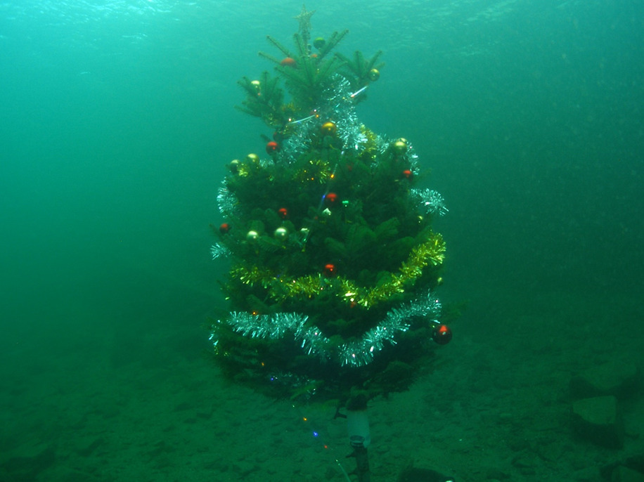Decorated Christmas tree with tinsel and baubles standing on the seabed